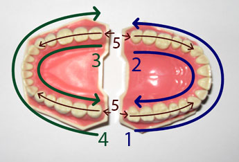 systeem